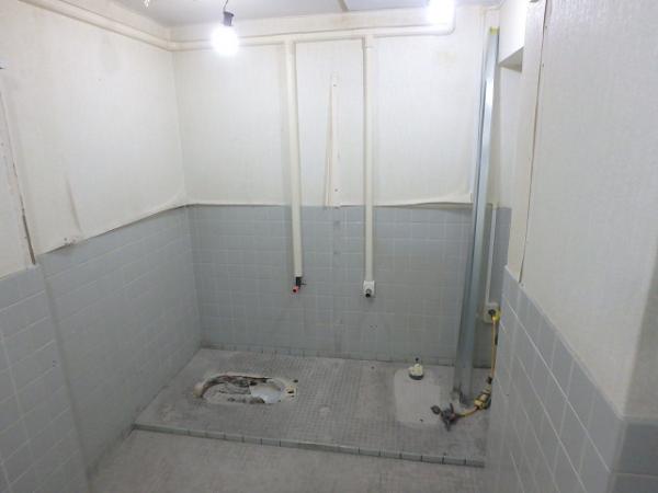 (3)トイレ解体3